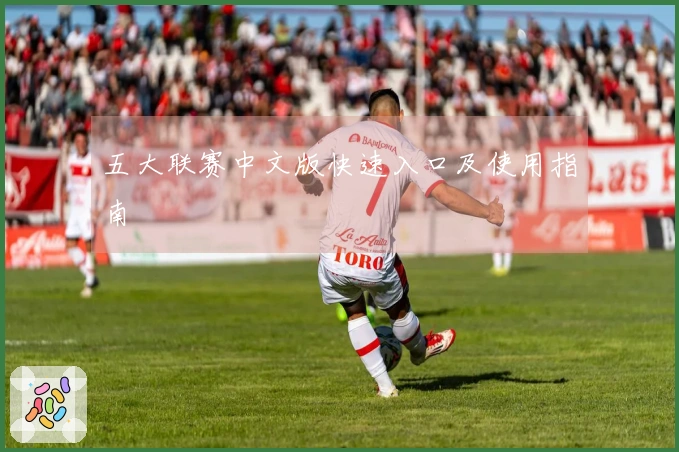 五大联赛中文版快速入口及使用指南