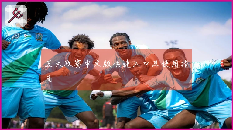 五大联赛中文版快速入口及使用指南