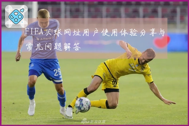 FIFA买球网址用户使用体验分享与常见问题解答