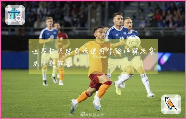 世界杯买球页面使用体验详解及常见问题解答