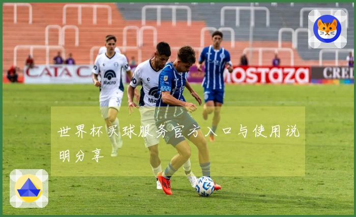 世界杯买球服务官方入口与使用说明分享