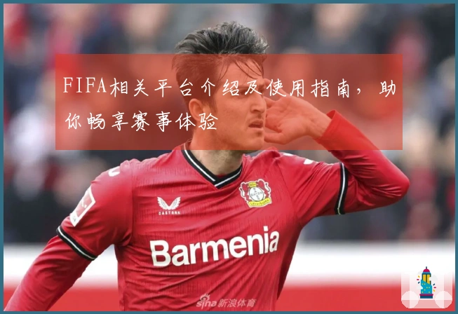 FIFA相关平台介绍及使用指南，助你畅享赛事体验