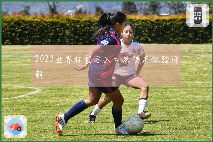 2023世界杯官方入口及使用体验详解